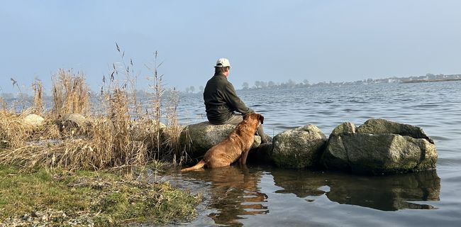 Hundefreund mit Blick auf Maasholm